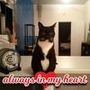 ryanicole81